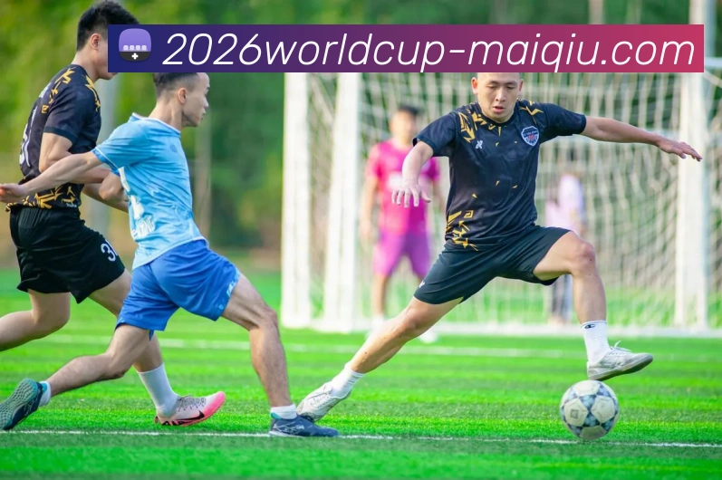 世界杯足球压球平台生态图